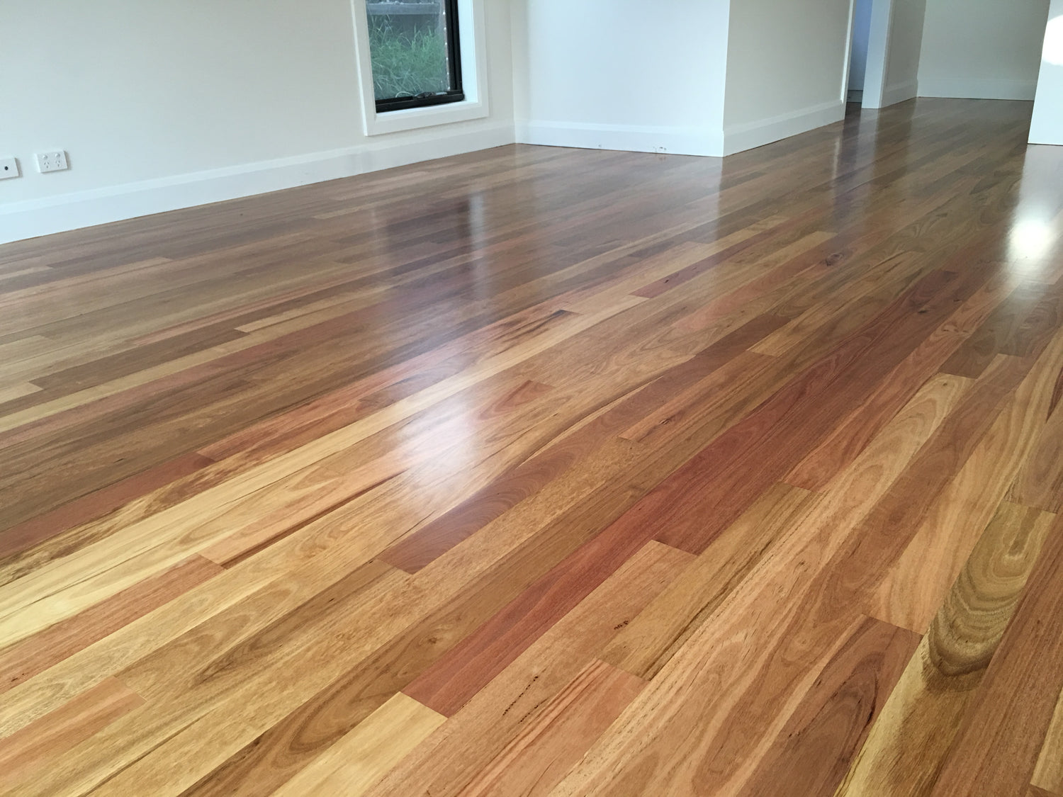 Blackbutt Solid Flooring