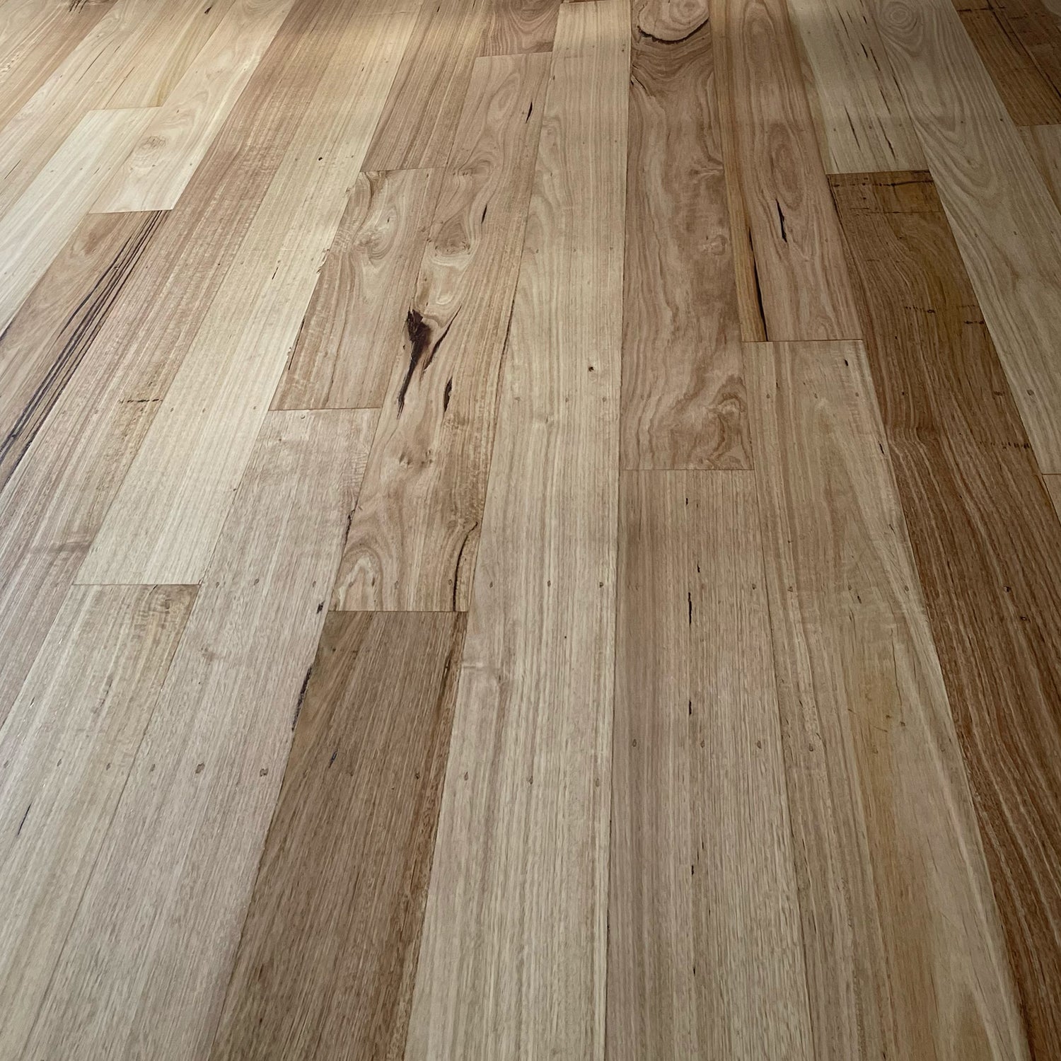 Blackbutt Solid Flooring