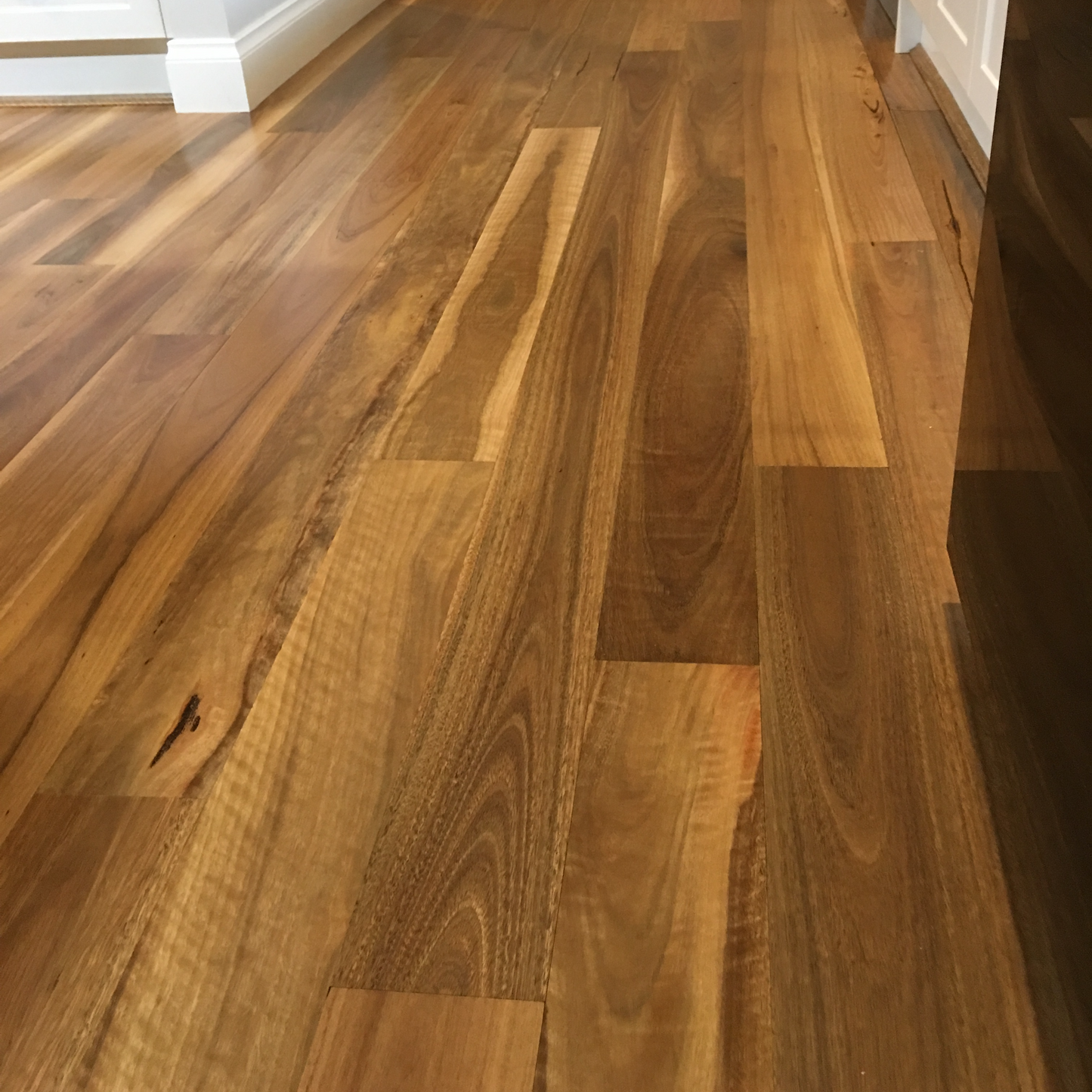 Spotted Gum Solid Flooring