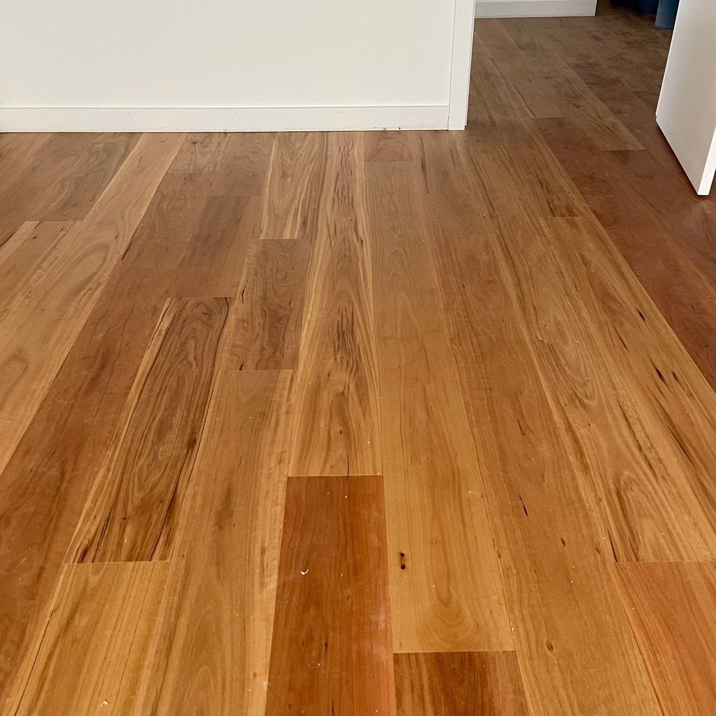 Blackbutt Engineered Flooring