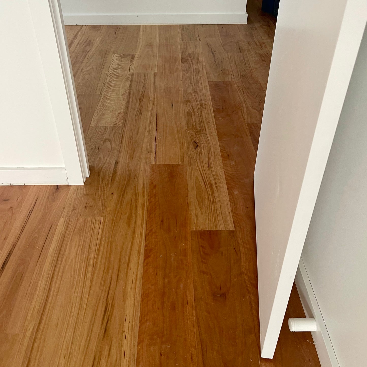 Blackbutt Engineered Flooring