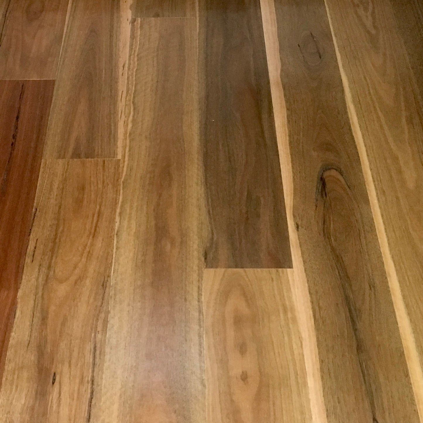 Spotted Gum Engineered Flooring