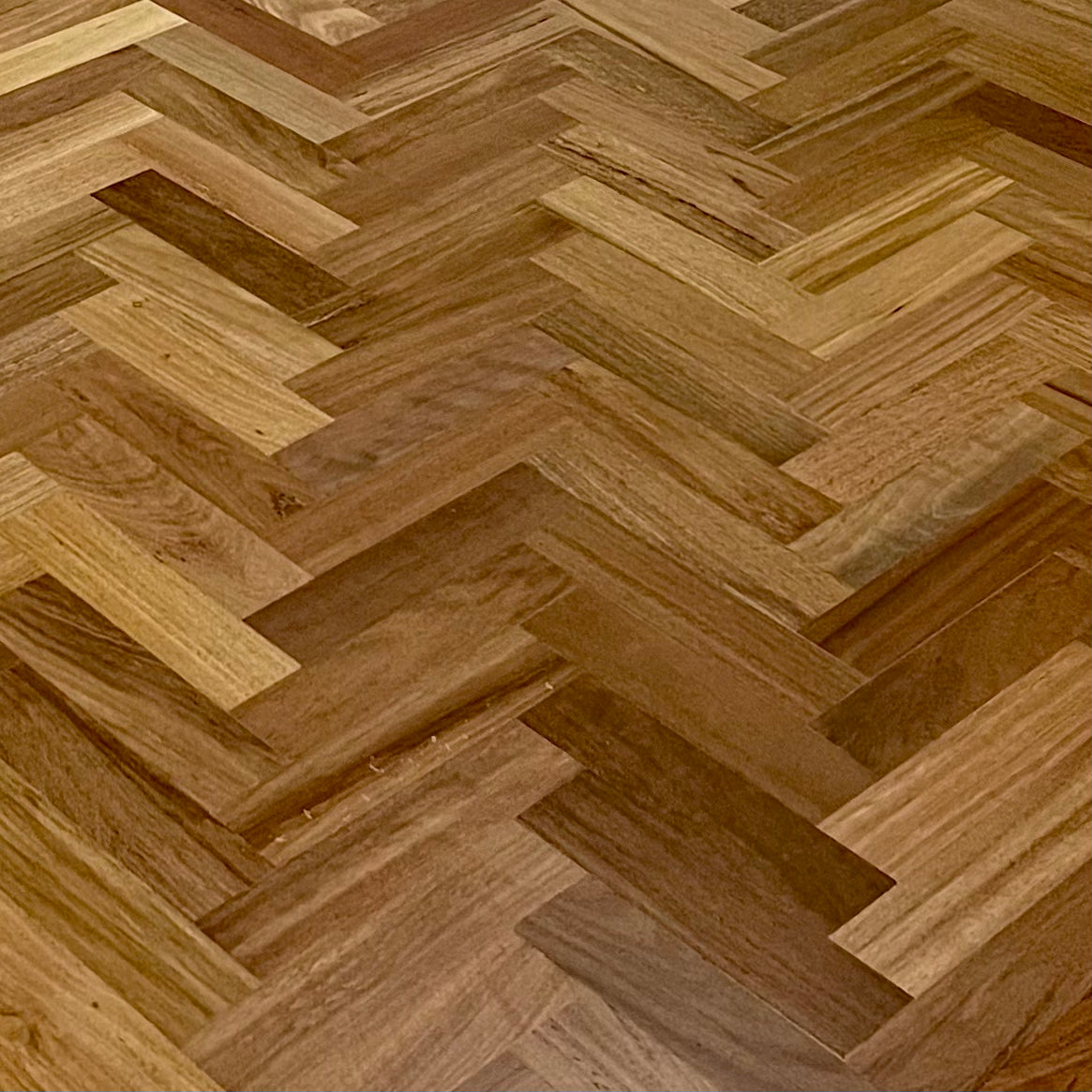 Blackbutt Parquetry Flooring