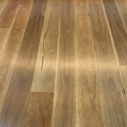 Spotted Gum Solid Flooring