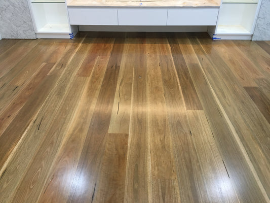 Spotted Gum Solid Flooring