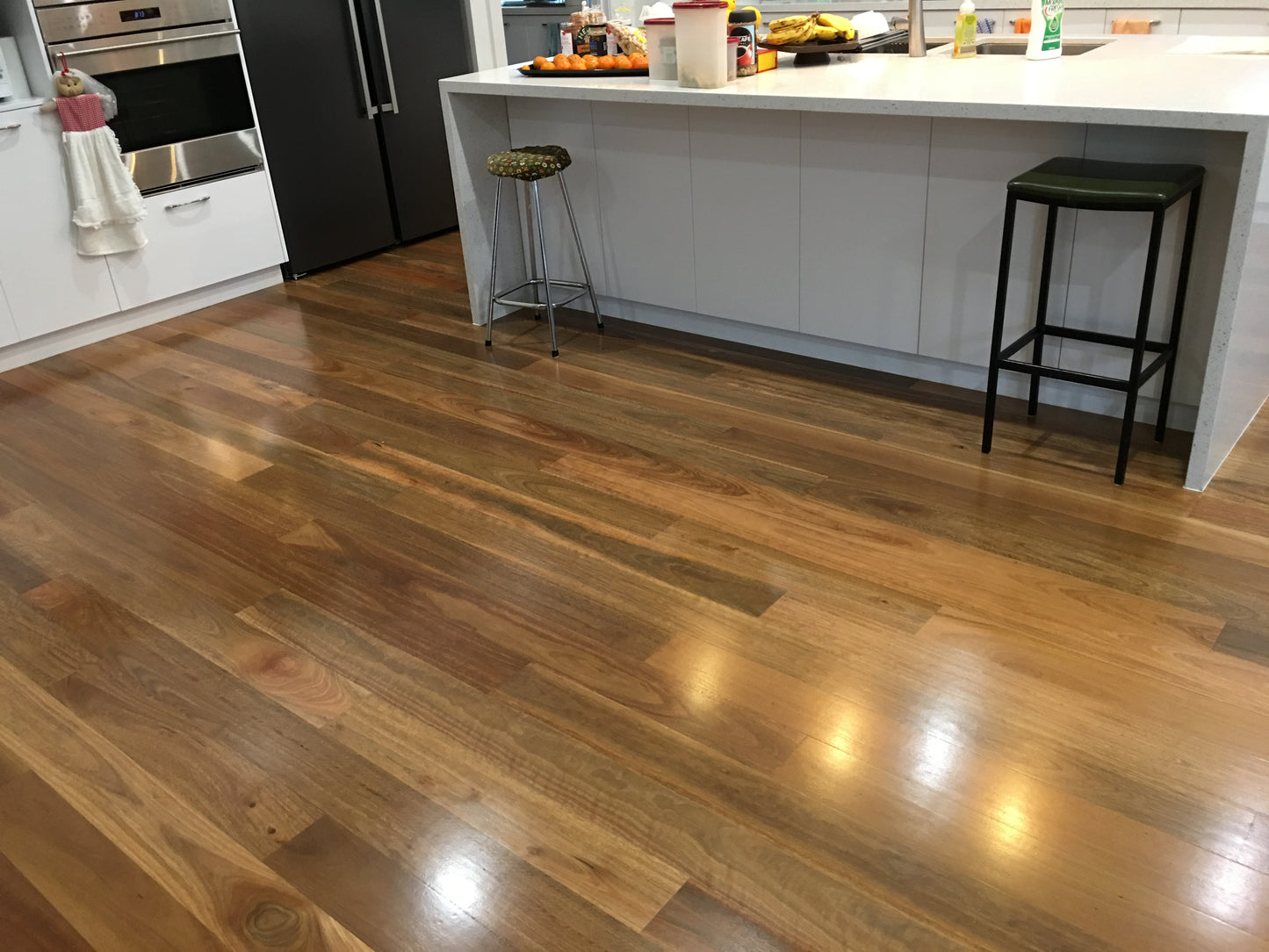 Spotted Gum Solid Flooring