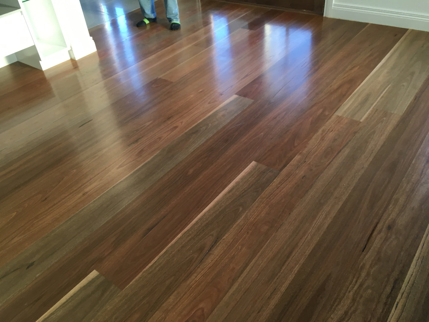 Spotted Gum Solid Flooring