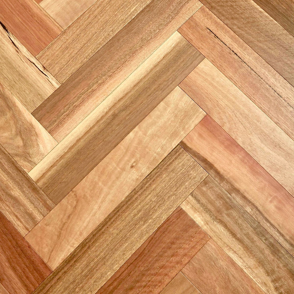 [Spotted Gum]