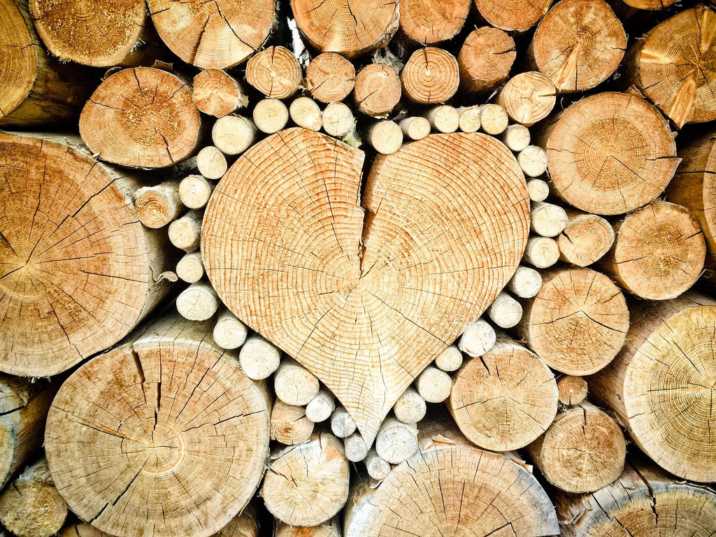 LB Timber