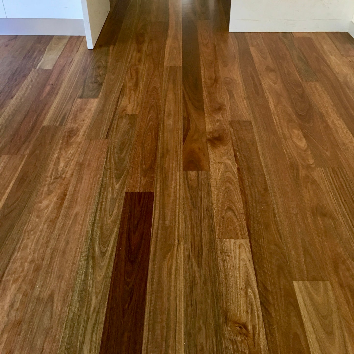 Spotted Gum Engineered Flooring