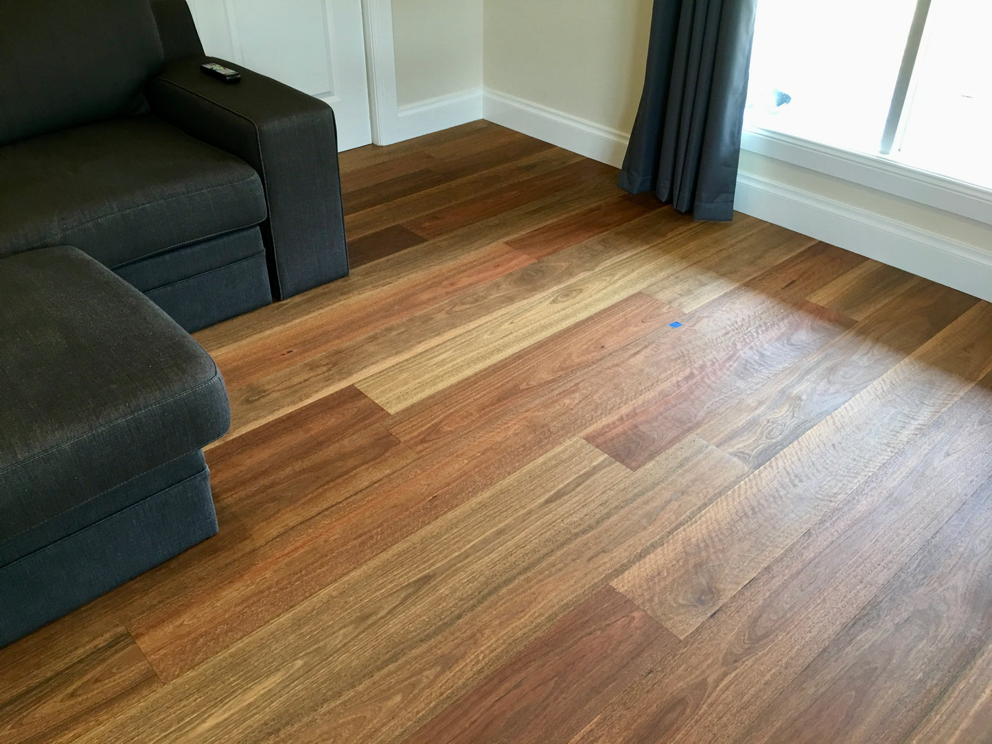Spotted Gum Engineered Flooring