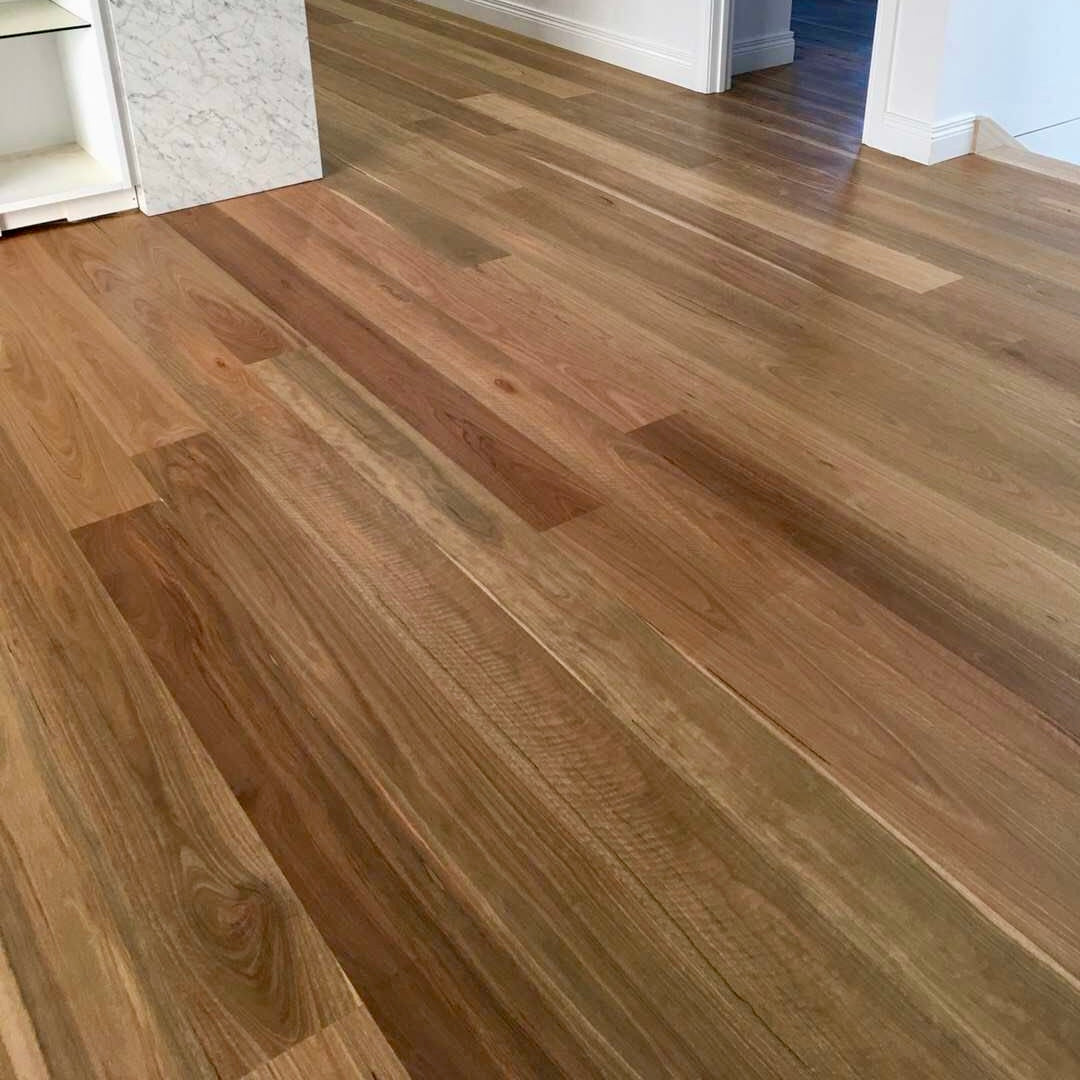 Spotted Gum Engineered Flooring