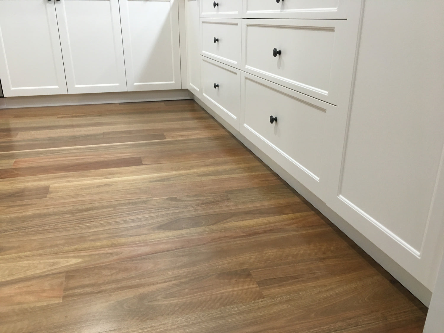 Spotted Gum Engineered Flooring