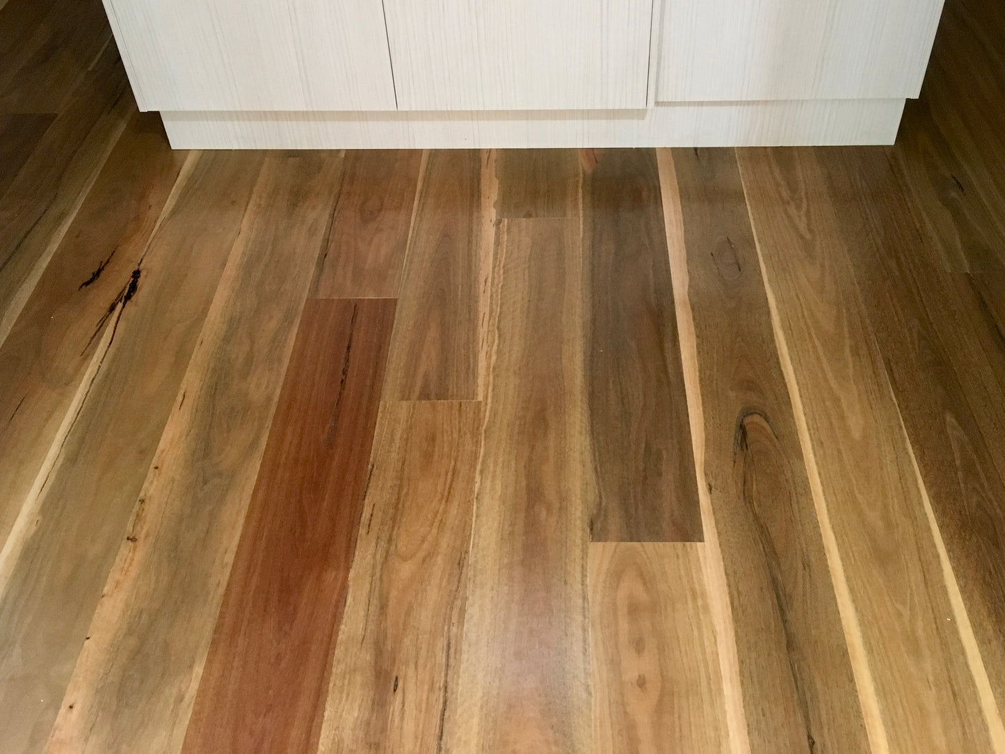 Spotted Gum Engineered Flooring